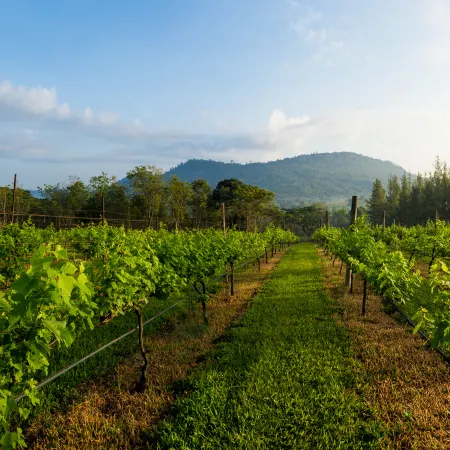 Village Farm & Winery Отели в г. Ванг Нам Кхио