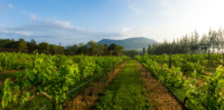 Village Farm & Winery Hotels near Kao Phang Ma