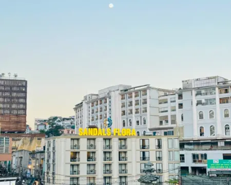 ซานดัลส์ ฟลอร่า โฮเต็ล โรงแรมในด่าหลัต