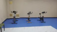 Xinjiang Cultural Tourism Nalati Resort Hotel - Gym