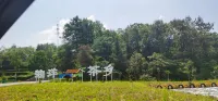 Yunyin Sancheng Homestay - Mountain view