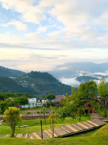 รูปภาพของไร่ซัวย่าง