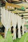 Ecostay Panglao Resort Hotel - spa