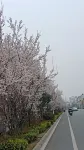 随州半島湖景ホテル（随州博物館） - 絶景