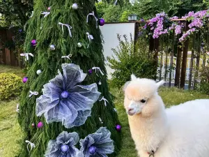 攜程度假農莊（廣州意境莊園聯營店）