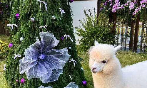 Trip.com Group Country Retreats(Guangzhou Yijingzhuangyuan Joint Resort)