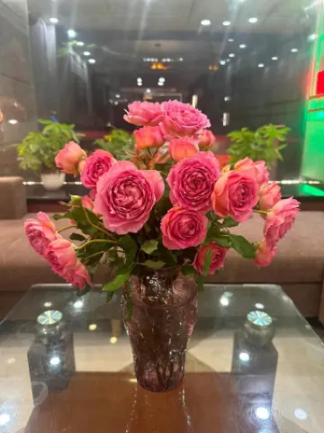 安和港夏丹飯店2