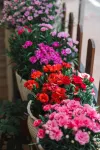 Yuxi Zhouqiao Neighbor Inn - New