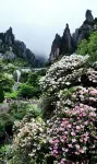 山水日記・Nature sunshine自然｜山野デザイナーズ民宿（三清山港首索道）