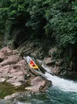 Semi-Wild · Crest Wild Pool & Family Vacation Homestay - วิว