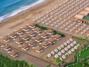 Lara Barut Collection - All Inclusive