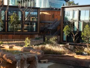 Popular Luxury Hotels in Mosman