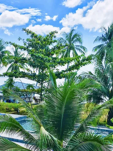 รูปภาพของเกาะมุก ริเวียร่า บีชรีสอร์ท