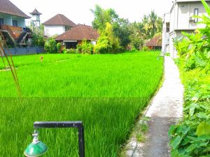 Keladi House Ubud