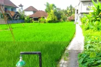Keladi House Ubud Các khách sạn ở 