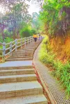 Century Sakura Hotel (Luoding Shiniushan Forest Park Branch) - Indah