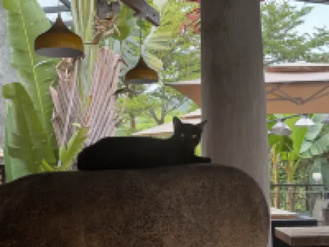 普洱古道博刻藝術客棧