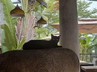 Pu'er Gudao Boke Art Inn