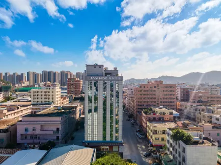 麗楓飯店（東莞松山湖團泊窪實驗室店）