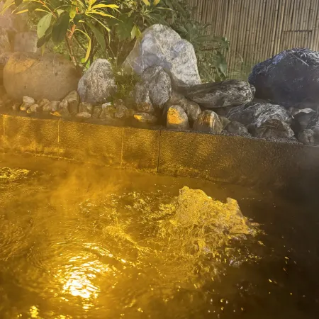 Piedmont Hot Spring Villa