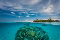 Dhigufaru Island Resort - Ocean View