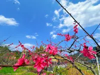 Lanyue Xingyu · Pinyue Butterfly Valley · Floral Boutique Stay - Romantic