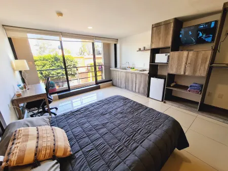 C3 Suites at ITESM CEM Foreign Students Executive Отели в г. Куаутитлан-Искальи