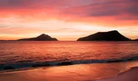 Golf & Beach Bliss: Book Direct in Salamander Bay