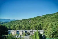 Tokyu Vacations Tateshina Hotels in Chino