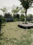 Appartement Lucas
