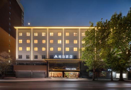 1. 시안 린통 트리..