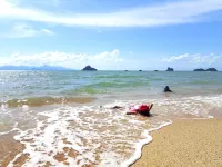 Bluewave Sea Out Seaview Homestay โรงแรมใกล้น้ำตกเตอมะรุน