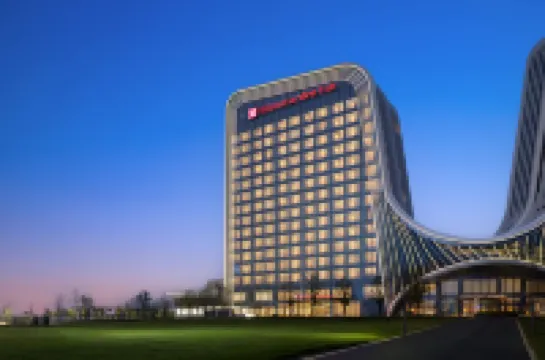 Hilton Garden Inn Zhengzhou Airport Aerotropolis Hotels in 