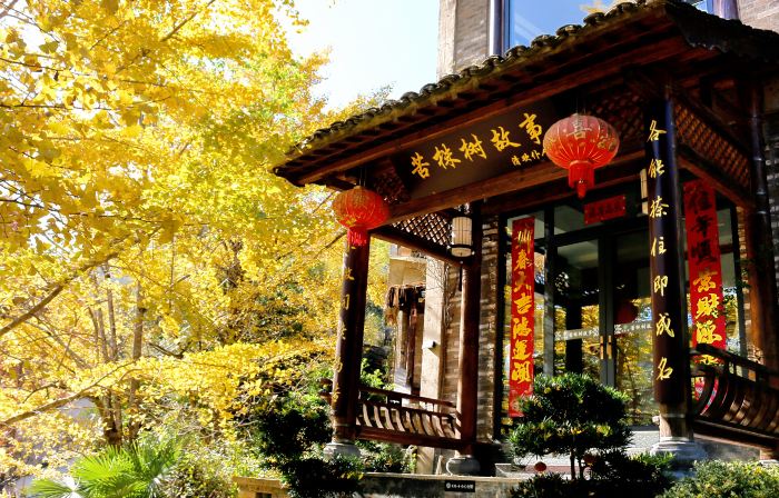 Floral Lux Hotel·Mount Huangshan Bitter Tree Story Hotel