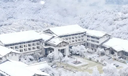 Arcadia International Forest Hotel