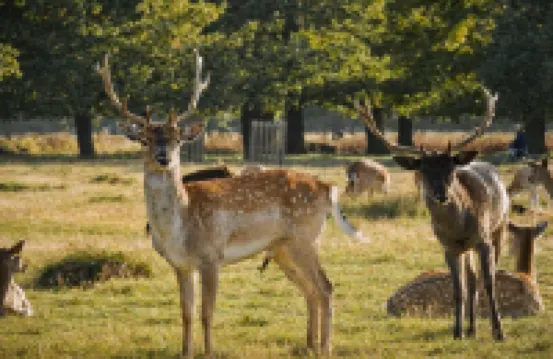 Roomspace Serviced Apartments - Brewers Lane