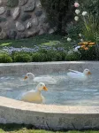 3w farm house - Pet friendly