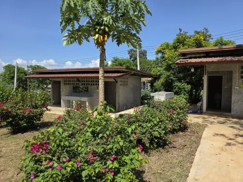 Rai Phu Pha Camping and Cafe @ Srinagarind Dam - Pet friendly