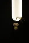 PRIN HOTEL - Romantik