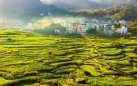 Zhenshan Lanyue Homestay - Mountain View