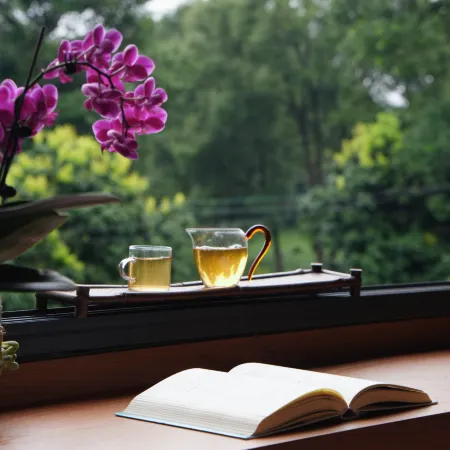 Xiangshi Jingmai · Homestay (Puer Tea Estate)