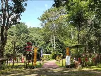 The ForRest Peace Forest (Mae Kampong) - navetta aeroportuale