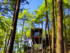 Youyang Taohuayuan Forest Hotel