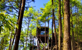 Youyang Taohuayuan Forest Hotel