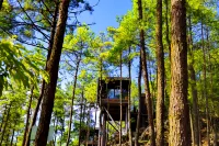 Youyang Taohuayuan Forest Hotel Các khách sạn ở Dậu Dương