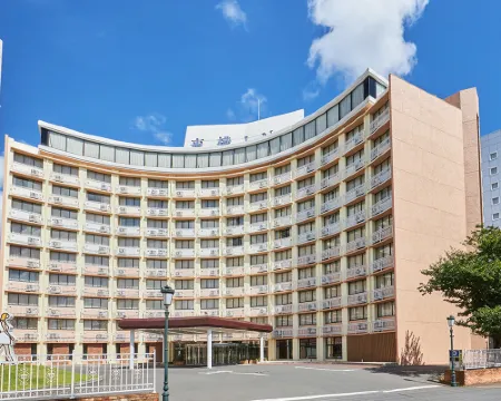 Toyoko Inn Narita Airport Honkan Tokyo otelleri