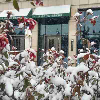 Dalian Amano Hotel Hotel Exterior