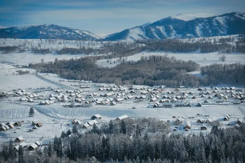 네이키드 홈 헤무 알타이