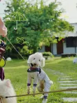 Floral Hotel·Moganshan Natural House Pet Hotel 더칭 호텔