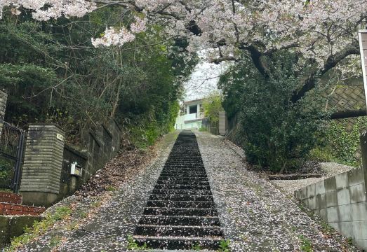 레몬 빌라 거실